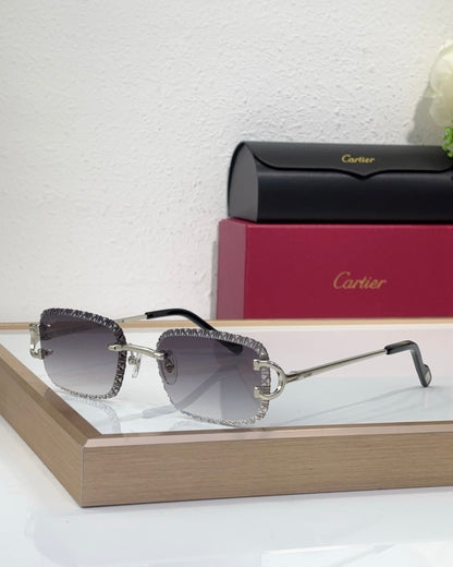 Cartier Frames