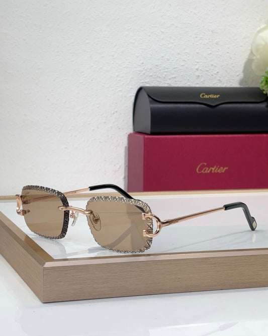 Cartier Frames