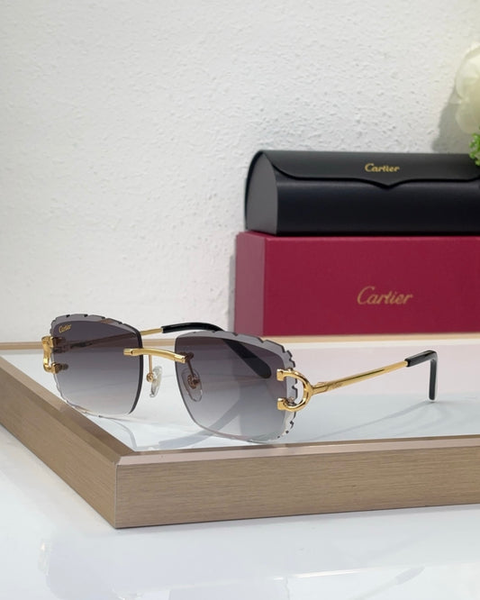 Cartier Frames