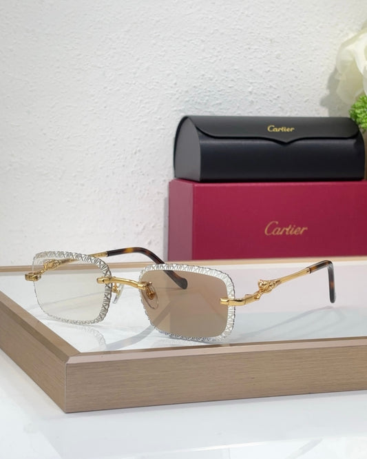 Cartier Frames