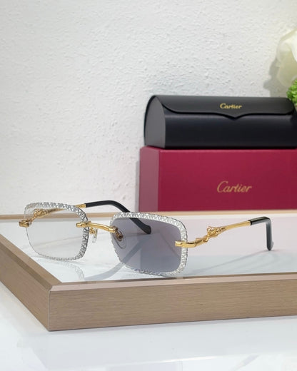 Cartier Frames