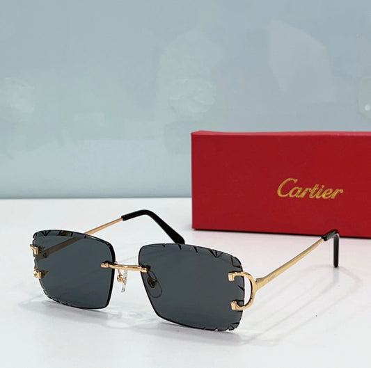 Cartier Frames